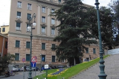 image10 image10