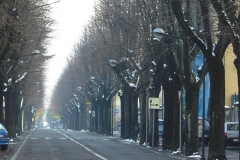 image6-1