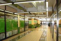 image6 image6